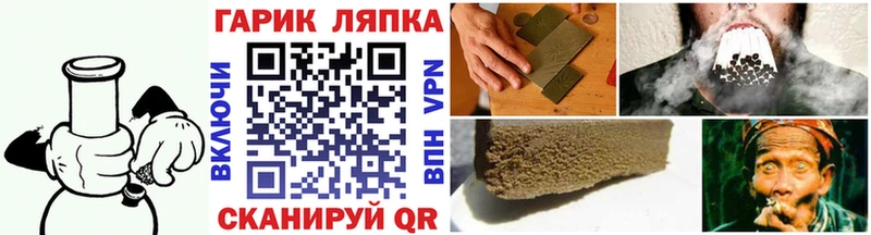 ГАШ VHQ Перевоз