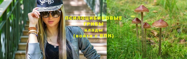 тгк Наволоки