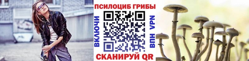 Купить  Перевоз  Псилоцибиновые грибы MAGIC MUSHROOMS 