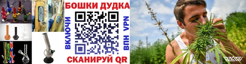 Купить  Перевоз  Канабис OG Kush 